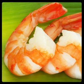 gulf-coast-shrimp-1
