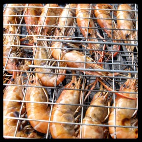 gulf-coast-shrimp-3