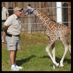 Panama City Beach Zoo