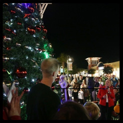 panama city beach christmas tree lighting