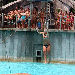 shipwreck waterpark