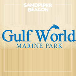 gulf world pcb