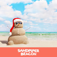 beach snowman