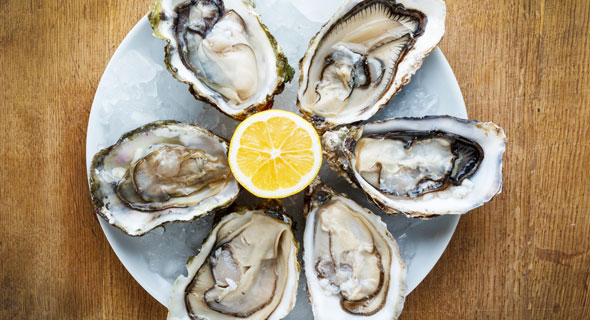 panama city beach oysters