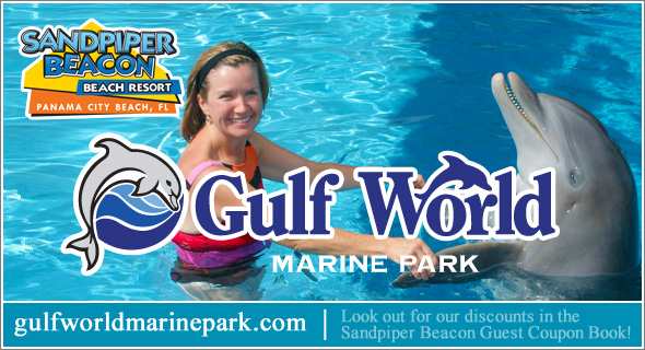 Gulf World Marine Park Panama City Beach