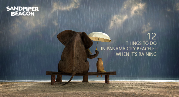 Fun Things To Do in Panama City Beach When it’s Raining