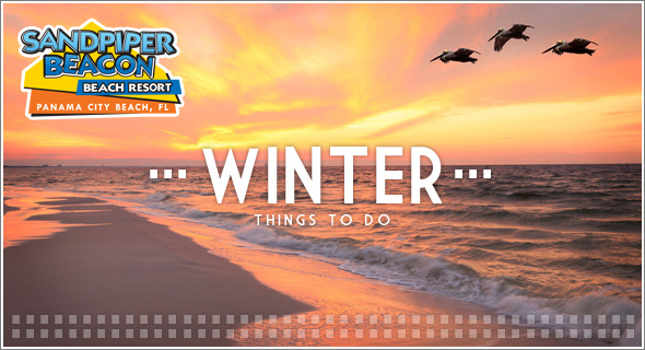 Panama City Beach Things To Do Winter 2013