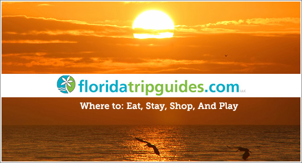 Florida’s Newest Travel Destination Website