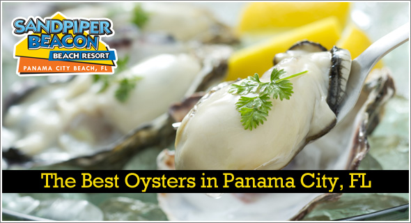 The Best Oysters in Panama City Beach, FL