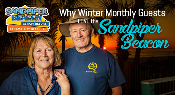 Why Monthly Winter Guests Love the Sandpiper Beacon