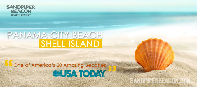 Shell Island Panama City Beach