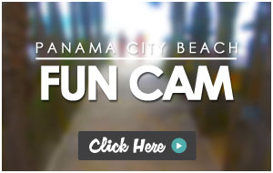 Webcams Of Panama City Beach Florida Sandpiper Beacon