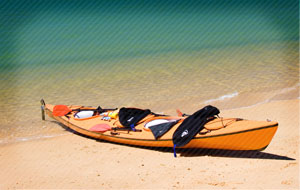 Kayak Canoe Rentals