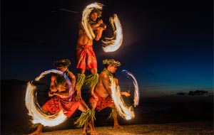 Live Polynesian Show