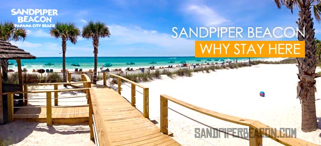 Why Should You Stay at the Sandpiper Beacon Beach Resort