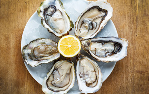 panama-city-beach-oysters